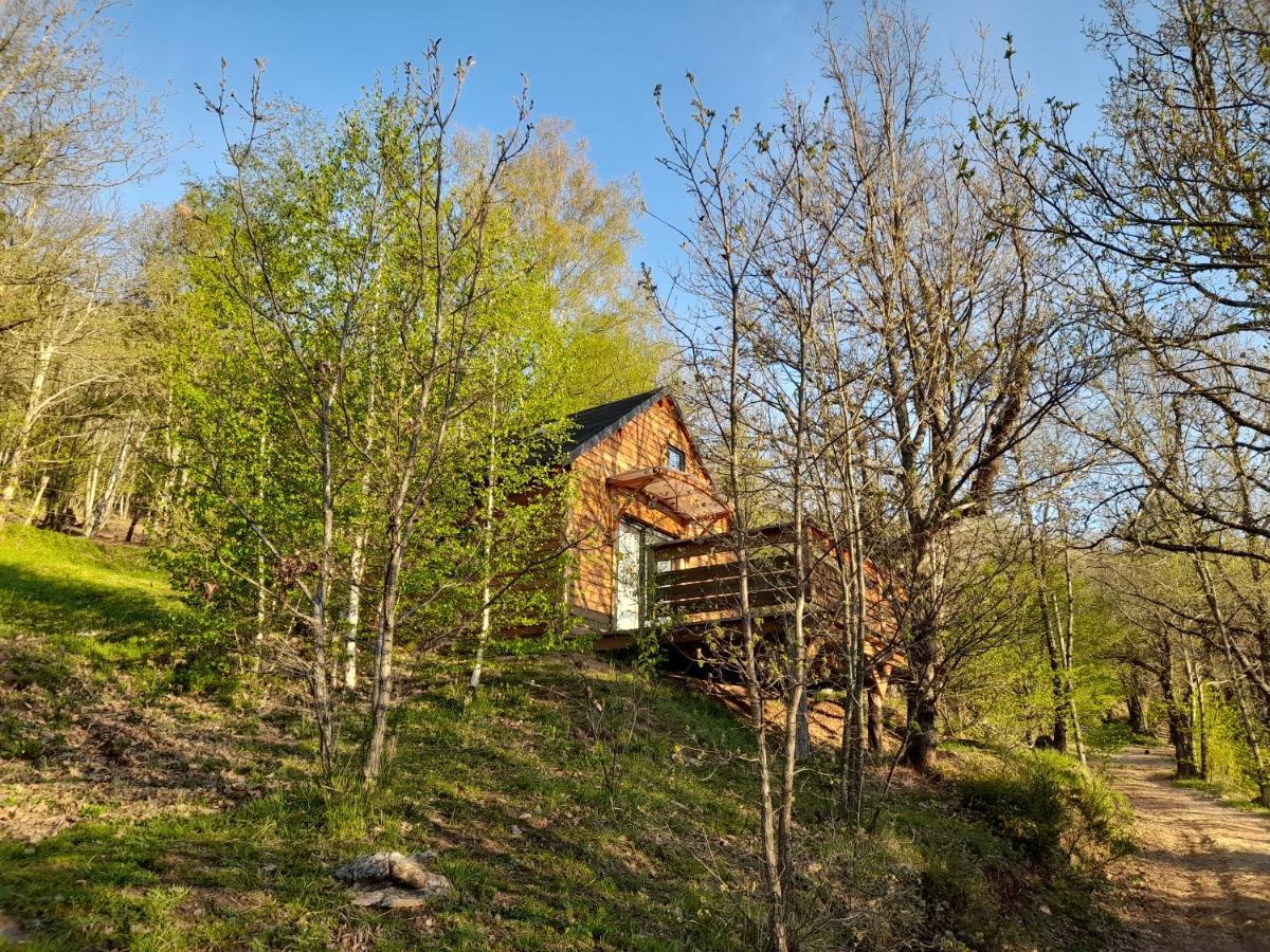 Mon Chalet Au Coeur Des Cevennes Vebron Экстерьер фото